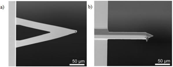 2 Microscopia de Força Atômica 33 são as mais utilizadas em experiências com AFM: a forma retangular, sendo esta a mais comum, e a forma de V. A Figura 2.
