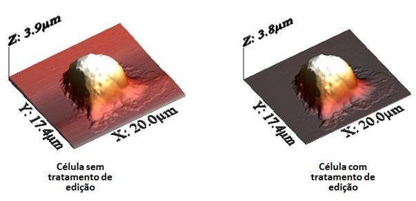 4 AFM no Estudo de Células 62 Figura 4.5: célula sem tratamento de edição (esquerda) e com tratamento de edição (direita) do software WSxm. Fonte: Elaborada pelo autor.