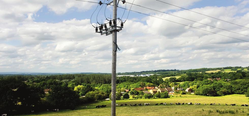 AS CONCESSIONÁRIAS DE ENERGIA ELÉTRICA TÊM CLIENTES QUE TAMBÉM PRECISAM DE CONECTIVIDADE BANDA LARGA para educação, negócios e áreas rurais.