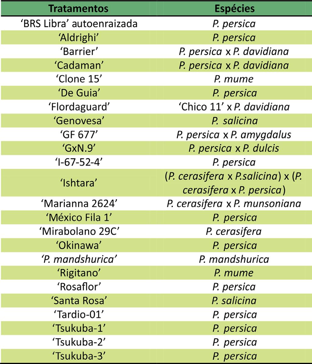 Tabela 1. Identificação da cultivar BRS Libra e demais genótipos ou seleções utilizadas como tratamentos. EPAMIG, Maria da Fé, MG, Brasil.