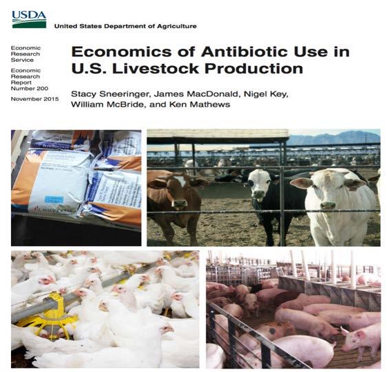 Qual Impacto da retirada dos antibióticos na Produção animal?