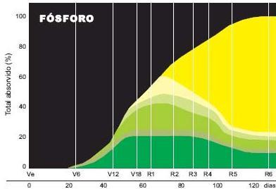 PROPORÇÃO DE FÓSFORO NOS