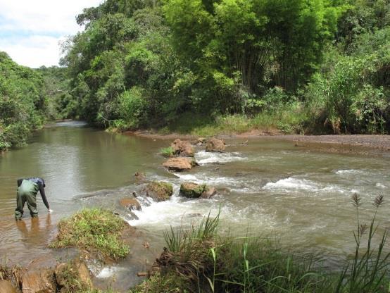verificar algumas atividades que podem interferir na qualidade da água do rio Gualaxo do Norte, sendo elas a atividade