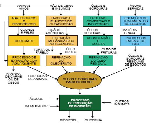 Produtiva do biodiesel. Fonte: AGE e DONNINI, 2006. Figura 1 Cadeia Vários processos tecnológicos estão sendo utilizados para obtenção do biodiesel via transesterificação.