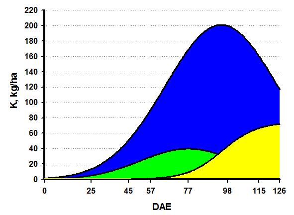 12 t/ha