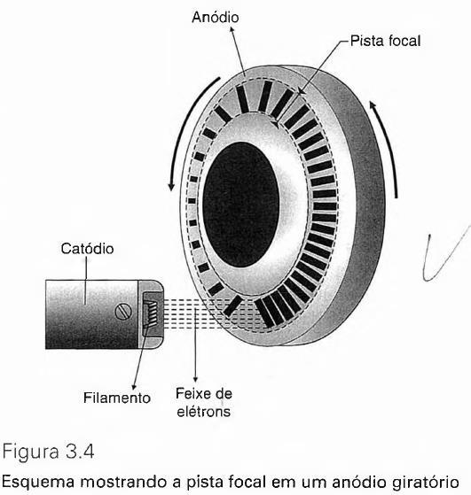 A CÚPULA (CARCAÇA) A cúpula (carcaça) corresponde a um invólucro metálico (duplo) revestido internamente de chumbo.