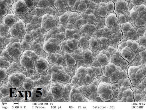 Neto (4). Figura 2. Micrografias da liga Ni-Co-W dos Exp.