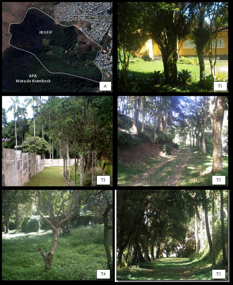Figura 1. A: Jardim Botânico da Universidade Federal de Juiz de Fora.