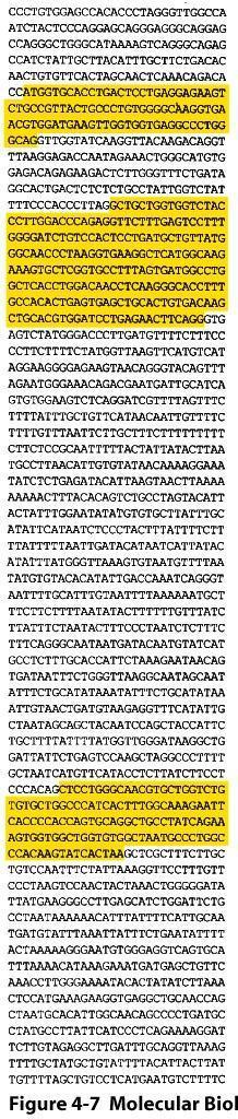 Podemos classificar a estrutura molecular