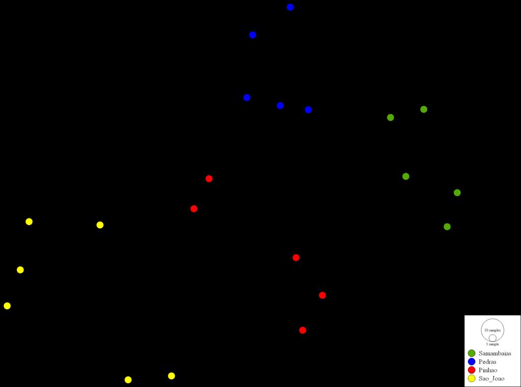 Programa de Pós-Graduação em Biologia Evolutiva 52 Figura 8: Rede de haplótipos construída através de median joining