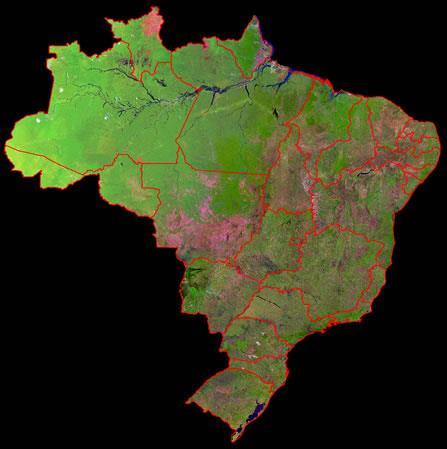 Pratylenchus spp. em soja safra 2018/2019 Área Cerrado (x 1000 ha) => Safra 2018/2019 = 21.978,8 ha Quais as estimativas de danos por P. brachyurus em soja?