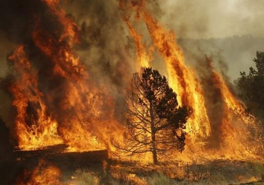 Incêndios em Portugal Ignições +