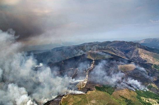 O que se espera de um engenheiro florestal