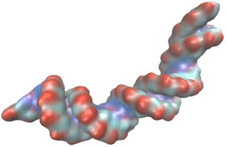 Programa Visual Molecular Dynamics (VMD) Explore as diferentes opções de representação gráfica da molécula de DNA.