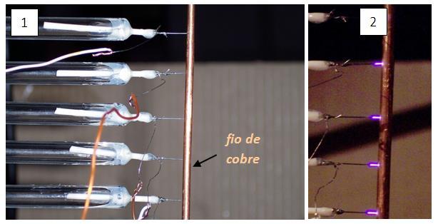 O diâmetro interno do tubo é de 150μm e cada um foi ligado a um resistor de 470kΩ. A figura (2) mostra as descargas acesas.