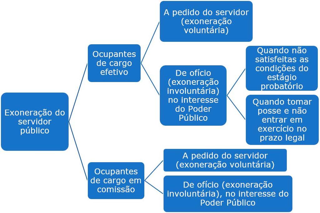 Importante regra está relacionada com a impossibilidade de exoneração da servidora gestante, ainda que no desempenho de cargo em comissão e sem vínculo anterior prévio com o Poder Público.