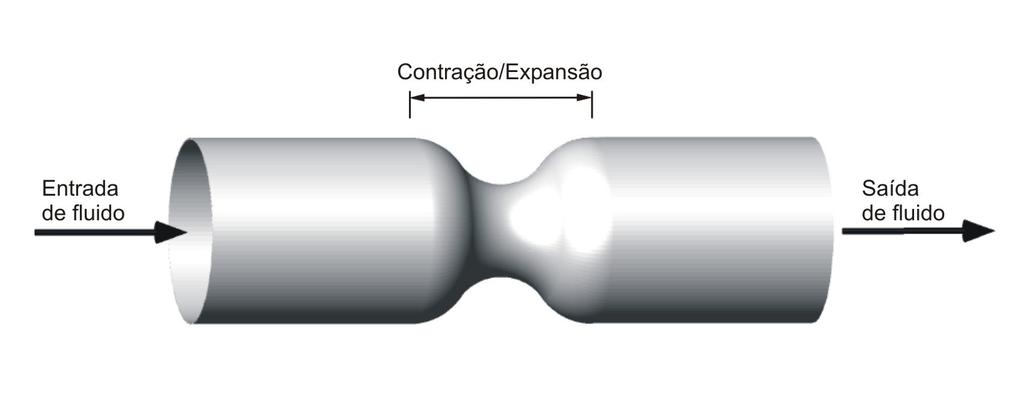 Capítulo 2 - Formulação Matemática e Modelagem Computacional 41 intensidade da constrição.