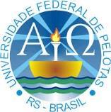 132 ANEXO 4 UNIVERSIDADE FEDERAL DE PELOTAS UFPel Programa de pós-graduação em Letras Mestrado em Estudos da Linguagem Pesquisadora: Laura Freitas Filoda Orientadora: Profa. Dr.