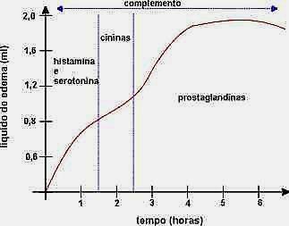 Tempos de surgimentos