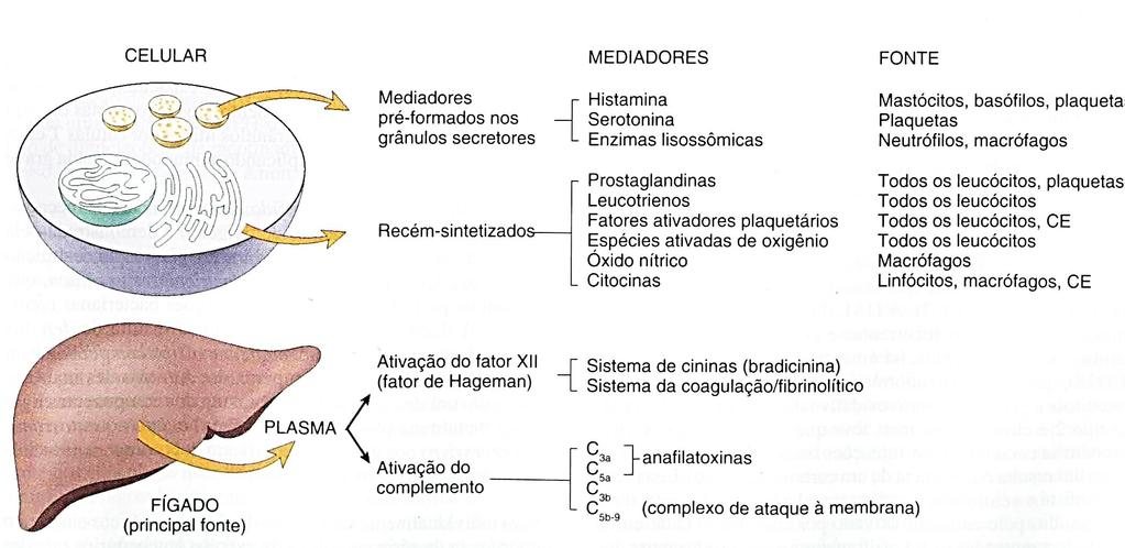 MEDIADORES