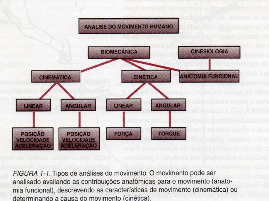 Biomecânica aplicada ao esporte