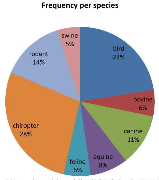 Rotavirus A in wild and domestic animals from areas with environmental degradation in the Brazilian Amazon Barros et al 2018.