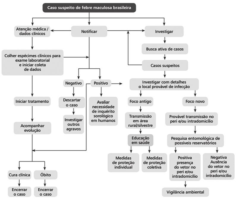 118 Carrapatos na cadeia produtiva de bovinos Figura 4. Fluxograma recomendado para investigação epidemiológica da Febre Maculosa Brasileira (FMB). Fonte: Ministério da Saúde, 2017. pneumoniae.