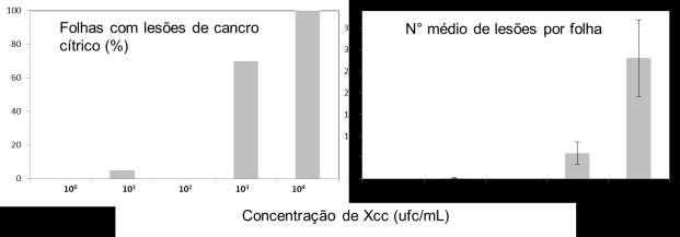 Infiltração com seringa sem agulha Foto: A.