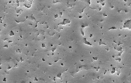 CY 1600 ºC G = 9,5 µm CY 1400 ºC G = 0,2 µm CY LSM 1400 ºC G = 0,4 µm CY LSCF 1400 ºC G = 2,8 µm Figura 3: