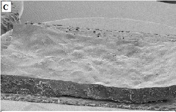 Figura 2- Micrografia do tratamento (T1) dos pellets crus e fritos com 21,30% de gergelim em grão, 78,70% de grits de milho e 27% de água.