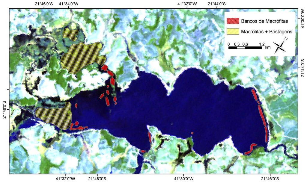 sido freqüentemente utilizada como indicadora da qualidade ambiental dos ecossistemas aquáticos, incluindo rios, estuários e áreas costeiras.