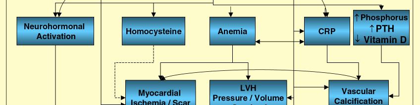 coronary heart