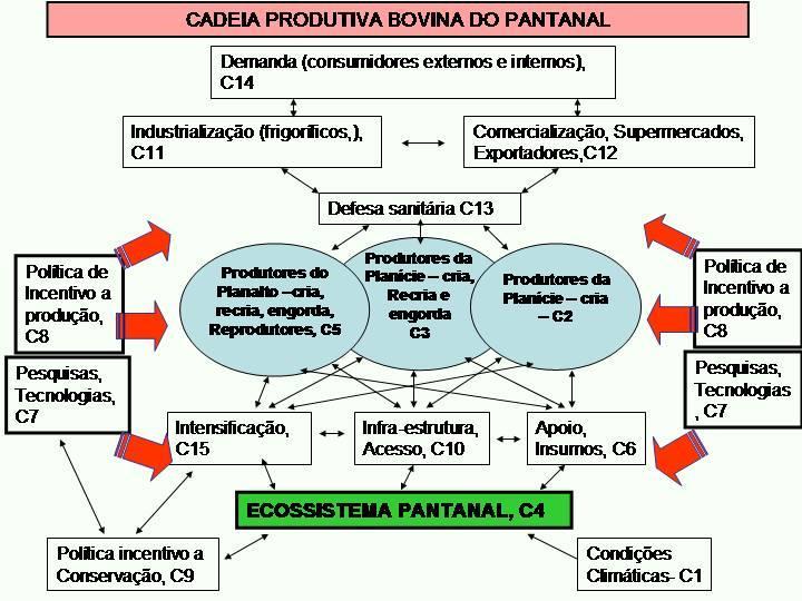 Figura 4. Cadeia produtiva bovina do Pantanal. Fonte: Santos et al. (2008).
