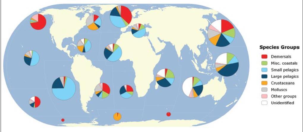 PESCA: PRINCIPAIS ÁREAS DE PESCA NO MUNDO «( ) Desde 1950, as frotas altamente subsidiadas aumentaram a área total de pesca de 60% para mais de 90% dos oceanos do mundo, duplicando a distância média