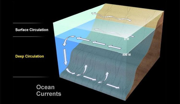 frentes térmicas) - Correntes de upwelling (ou afloramento costeiro): subida à superfície de massas de água profundas e frias mas
