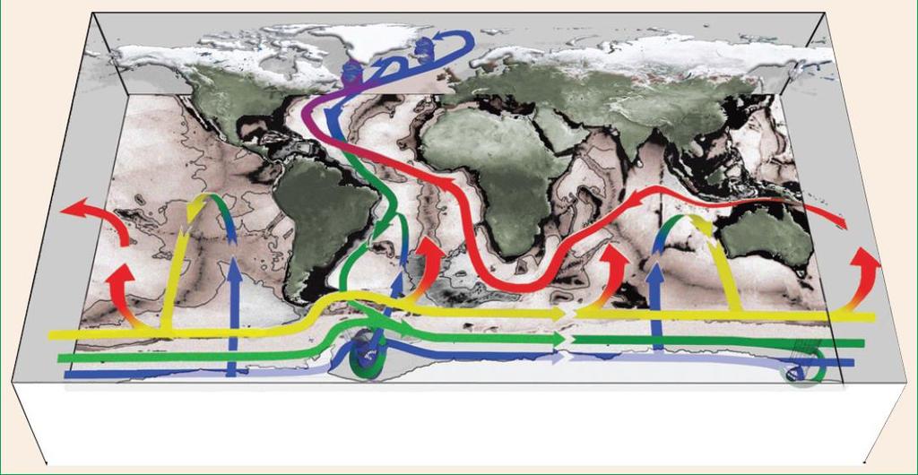 PESCAS: ÁREAS DE MAIOR POTENCIAL PISCATÓRIO Zonas com elevado potencial piscatório Upwelling: Ocorre principalmente ao redor da Antártida (setas ascendentes amarelo/vermelhas): correspondem