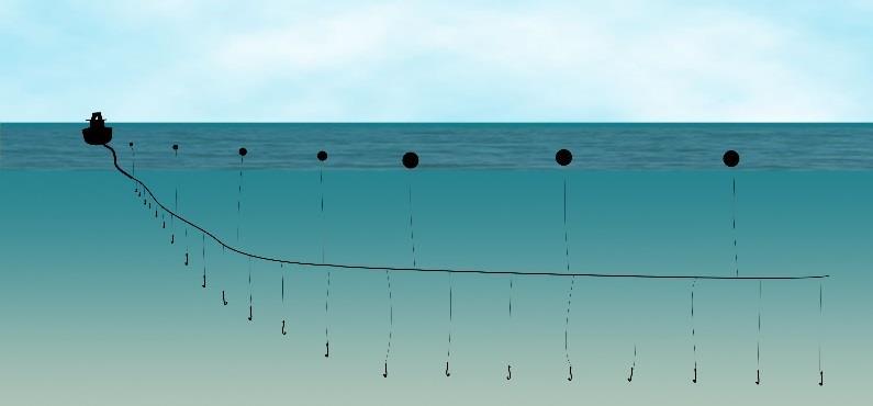 Redes de deriva: paredes verticais capturado os peixes pelas guelras, quando estes tentam atravessar as malhas das redes Utilização de radares e sonares para facilitar a localização de cardumes