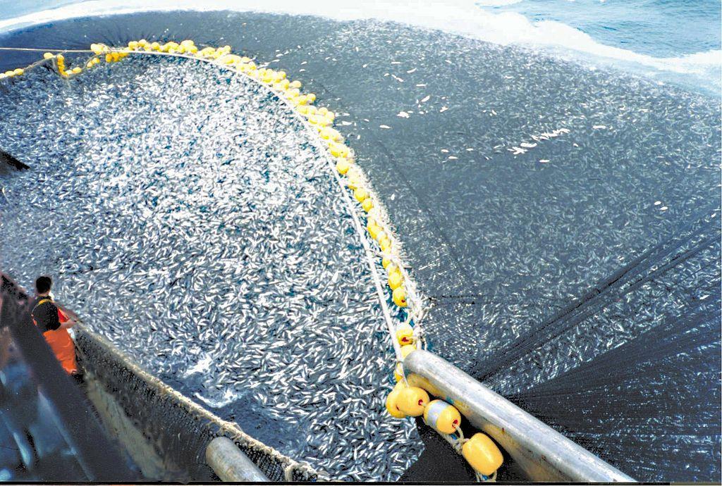 provocada pelos avanços da tecnologia: diminuição do peixe disponível nos oceanos e
