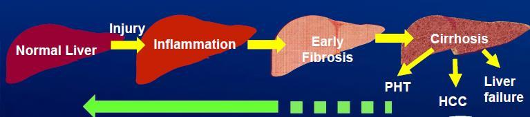 Hepatopatia crônica Inflamação / destruição tecidual Tentativa de