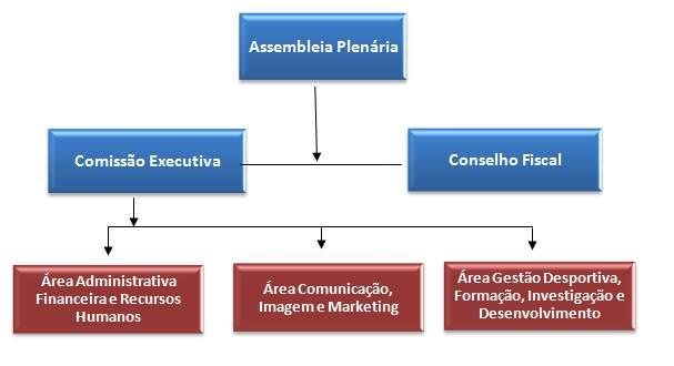 Organograma Funcional II - Programa de desenvolvimento desportivo Neste programa encontram-se incorporados todos os projetos estruturantes para o futuro do desporto no nosso país, relativamente aos