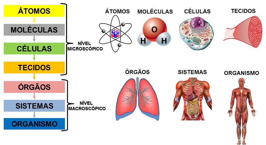 Nutrindo