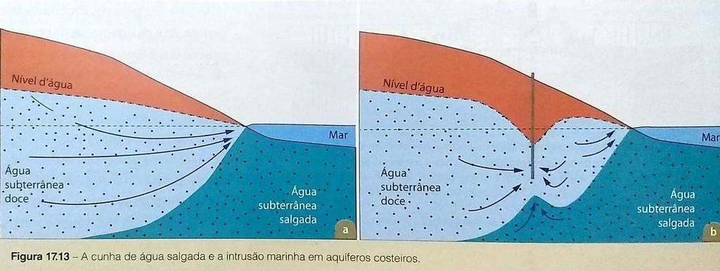 COMPROMETIMENTO DA QUANTIDADE DAS ÁGUAS SUBTERRÂNEAS INTRUSÃO SALINA Lagoa