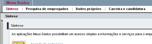 Menus Menu Banner Botões e ícones A página Meus Dados está organizada em quatro menus como abaixo descritos. Para selecionar a seção desejada, clique no menu: 1.