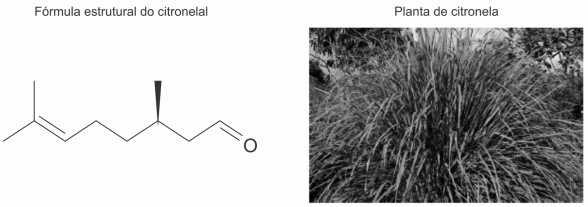 A) A fórmula molecular do mentol é C 10 H 19 O. B) O mentol possui 3 carbonos secundários. C) Possui um radical isopropil. D) Possui a função orgânica fenol. 1. (Uem -pas 017) Anabolizantes são hormônios sintéticos utilizados no tratamento de algumas doenças.