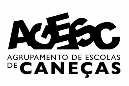 capacidades e atitudes desenvolvidas no âmbito das áreas de competências inscritas no Perfil dos Alunos à Saída da Escolaridade Obrigatória: (A) Linguagens e textos; (B) Informação e comunicação; (C)