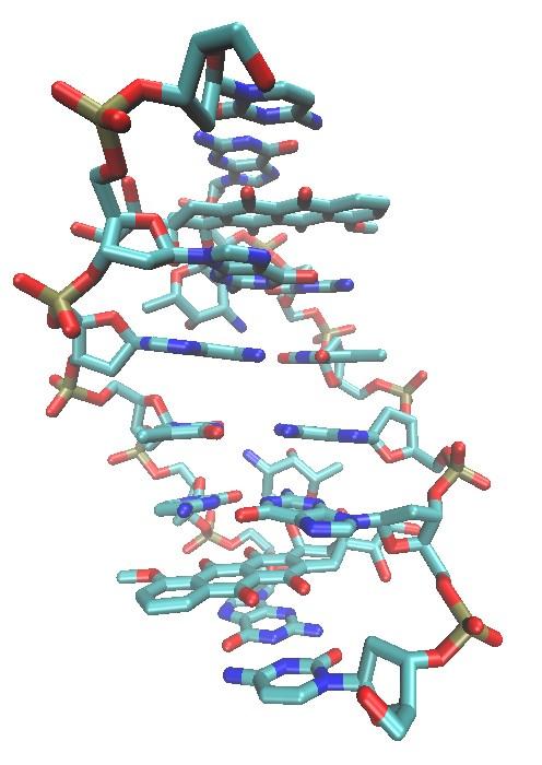 Interação Fármaco-DNA Ao aplicarmos a rotação e translação temos a molécula mostrada abaixo. Use o programa movepdb1.
