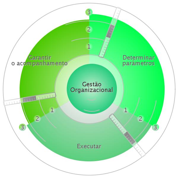 Gestão Organizacional As competências representadas nesta esfera são essenciais para a administração das atividades e para a gestão de processos organizacionais.