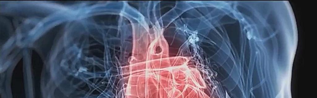 Para poder viver mais é preciso aumentar o tempo de vida dos nossos órgãos (nosso coração,