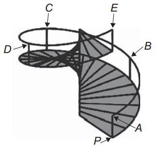 Matemática 6. O acesso entre os dois andares de uma casa é feito através de uma escada circular (escada caracol), representada na figura.