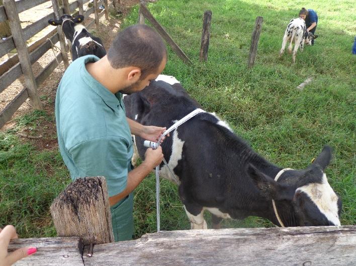 14. Equideocultura No setor de equinocultura